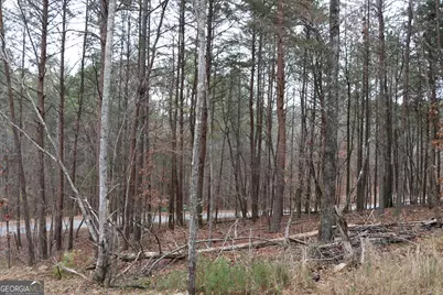 1217 Henderson Circle, Lyerly, GA 30730 - Photo 21