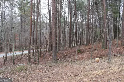 1217 Henderson Circle, Lyerly, GA 30730 - Photo 19
