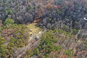 433 Valley Dr, Ellijay, GA 30536 - Photo 43