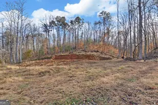 433 Valley Dr, Ellijay, GA 30536 - Photo 37