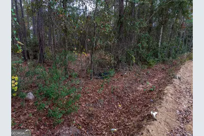 120 Womack Road #1.4 ACRES, Jesup, GA 31545 - Photo 7