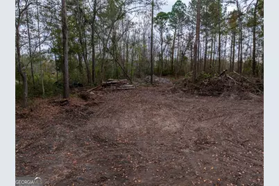 120 Womack Road #1.4 ACRES, Jesup, GA 31545 - Photo 9
