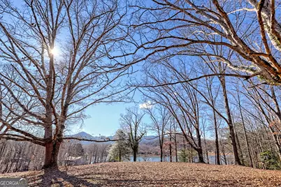 314 Lakeside Drive, Hiawassee, GA 30546 - Photo 7
