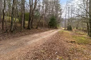 122 Sherbet Rd, Blairsville, GA 30512 - Photo 11