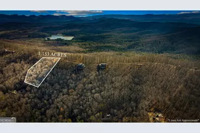 Lot 1 Scouts Overlook, Morganton, GA 30560 - Photo 3