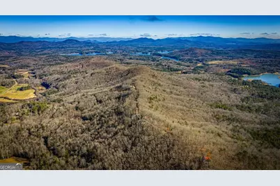 Lot 1 Scouts Overlook, Morganton, GA 30560 - Photo 7