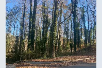 0 Lakeside Drive, Ellenwood, GA 30294 - Photo 5