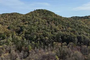 3590 Goshen Creek Rd, Clarkesville, GA 30523 - Photo 9