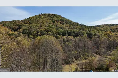 3590 Goshen Creek Road, Clarkesville, GA 30523 - Photo 3