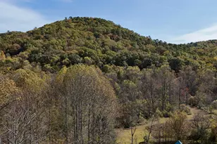 3590 Goshen Creek Rd, Clarkesville, GA 30523 - Photo 3