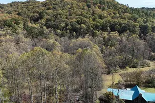 3590 Goshen Creek Rd, Clarkesville, GA 30523 - Photo 5