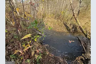 3590 Goshen Creek Road, Clarkesville, GA 30523 - Photo 81