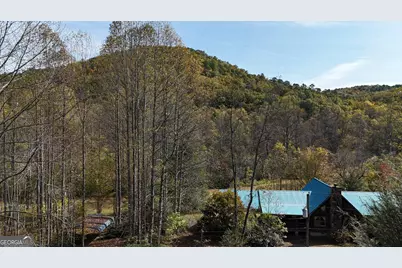 3590 Goshen Creek Road, Clarkesville, GA 30523 - Photo 17