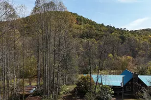 3590 Goshen Creek Rd, Clarkesville, GA 30523 - Photo 17