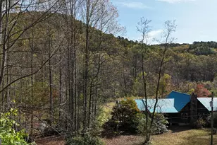 3590 Goshen Creek Rd, Clarkesville, GA 30523 - Photo 19