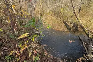 3590 Goshen Creek Rd, Clarkesville, GA 30523 - Photo 21