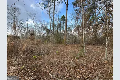 74 Community Church Road, McRae-Helena, GA 31037 - Photo 37