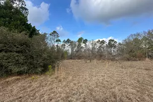 74 Community Church Rd, McRae-Helena, GA 31037 - Photo 31