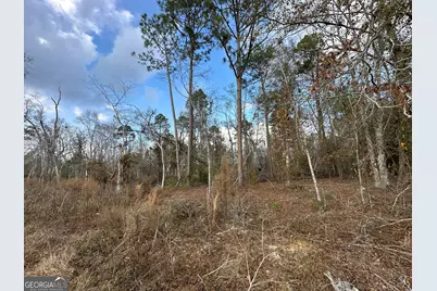 74 Community Church Road, McRae-Helena, GA 31037 - Photo 33