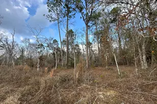 74 Community Church Rd, McRae-Helena, GA 31037 - Photo 33