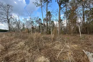 74 Community Church Rd, McRae-Helena, GA 31037 - Photo 35