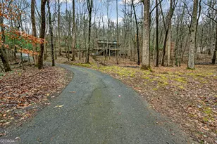 1165 Sparks Br Rd, Hiawassee, GA 30546 - Photo 31