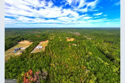 661 Hugh O Neal Road, Greenville, GA 30222 - Photo 9