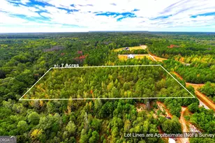 661 Hugh O Neal Rd, Greenville, GA 30222 - Photo 3