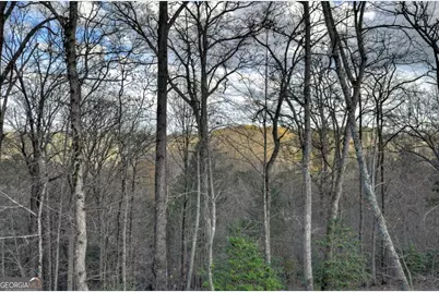 250 Wolf Creek Mountain Road #19, Mineral Bluff, GA 30559 - Photo 27