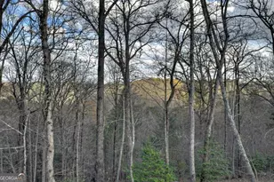 250 Wolf Creek Mountain Rd, Mineral Bluff, GA 30559 - Photo 27