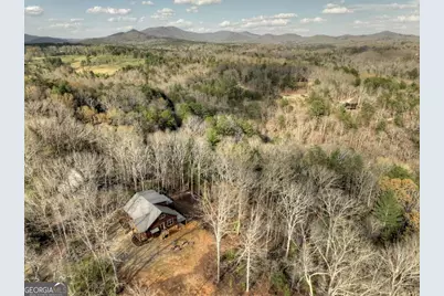 250 Wolf Creek Mountain Road #19, Mineral Bluff, GA 30559 - Photo 49