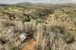 250 Wolf Creek Mountain Rd, Mineral Bluff, GA 30559 - Photo 49
