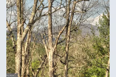 250 Wolf Creek Mountain Road #19, Mineral Bluff, GA 30559 - Photo 27