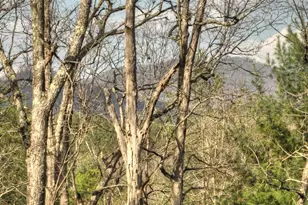 250 Wolf Creek Mountain Rd, Mineral Bluff, GA 30559 - Photo 27