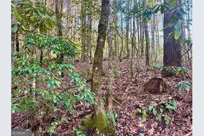 0 Mule Branch Road, Helen, GA 30545 - Photo 15