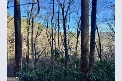 0 Mule Branch Road, Helen, GA 30545 - Photo 17
