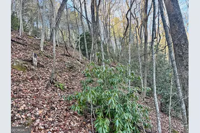 0 Mule Branch Road, Helen, GA 30545 - Photo 7