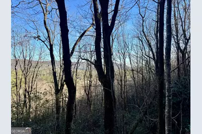 0 Mule Branch Road, Helen, GA 30545 - Photo 13