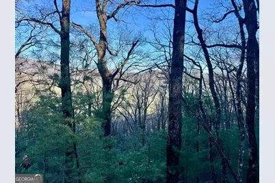 0 Mule Branch Road, Helen, GA 30545 - Photo 1