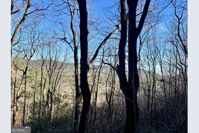 0 Mule Branch Road, Helen, GA 30545 - Photo 11