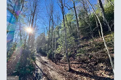 0 Mule Branch Road, Helen, GA 30545 - Photo 5