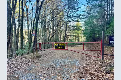 0 Mule Branch Road, Helen, GA 30545 - Photo 3