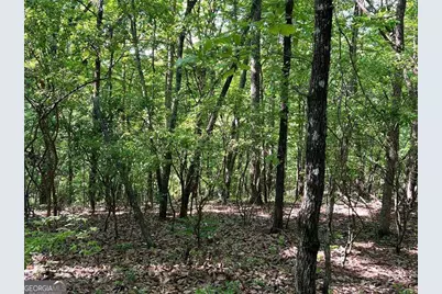 3285 Wood Poppy Drive, Jasper, GA 30143 - Photo 5