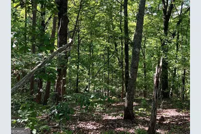 3285 Wood Poppy Drive, Jasper, GA 30143 - Photo 7