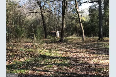 216 E.Moores Crossing Road, Thomaston, GA 30286 - Photo 5