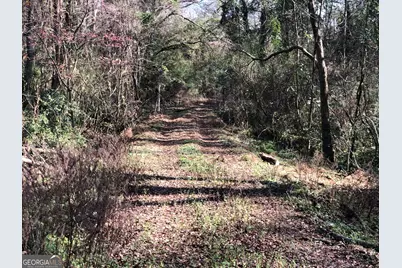 216 E.Moores Crossing Road, Thomaston, GA 30286 - Photo 1
