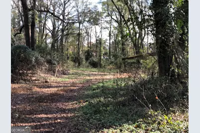 216 E.Moores Crossing Road, Thomaston, GA 30286 - Photo 3