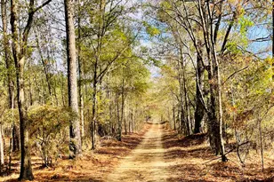 829 Pope Rd, Roberta, GA 31078 - Photo 5