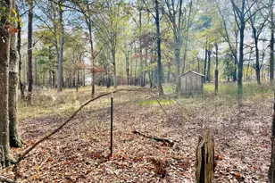 829 Pope Rd, Roberta, GA 31078 - Photo 7