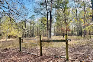 829 Pope Rd, Roberta, GA 31078 - Photo 9